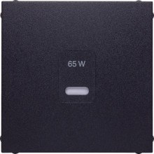 Berker 48601606 Zentralstück für USB B.x. anthrazit matt. lackiert