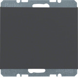 Berker 6710457006 Blindverschluss mit Zentralstück K.1 anthrazit. matt
