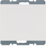 Berker 6710457009 Blindverschluss mit Zentralstück K.1 polarweiß. glänzend
