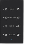 Berker 75144935 Glas-Sensor 4fach Komfort TS Sensor konfiguriert. schwarz