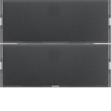 Berker 80162776 Tastsensor 2fach Komfort mit Beschriftungsfeld KNX K.1 anthrazit matt. lackiert