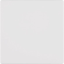 Berker 85145129 KNX-Funk Taste 1fach quicklink Q.x polarweiß. samt