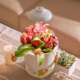 Bioledex GoLeaf TOP5 LED Pflanzenleuchte Vollspektrum 5W USB Pflanzenbeleuchtung