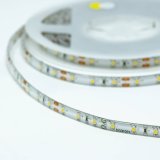 Bioledex LED Streifen 12V 5W/m 60LED/m 5m Rolle gelb