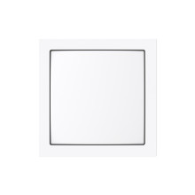 Busch-Jaeger Zentralscheibe mit Beschriftungsfeld Busch-art linear 2CKA001582A0451 1576 CN-44G