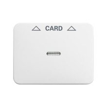 Busch-Jaeger Zentralscheibe Cardschalter 2CKA001710A3297 1792-24G-101