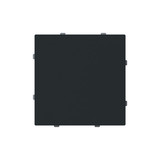 Busch-Jaeger Zentralscheibe Blindabdeckung mit Tragring schwarz matt - Busch-art linear 2CKA001710A4214 1742-45M
