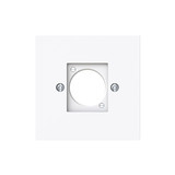 Busch-Jaeger Zentralscheibe XLR Busch-art linear 2CKA001724A4448 2553-44G
