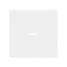 Busch-Jaeger Wippe mit kleiner transparenter Kalotte 2CKA001751A3150 1789 N-84