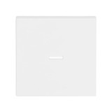 Busch-Jaeger Wippe mit kleiner transparenter Kalotte 2CKA001751A3153 1789 N-884