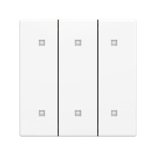 Busch-Jaeger 2570-30-84 Wippe 3-fach Elekroniktaster 2CKA001751A3280 2570-30-84