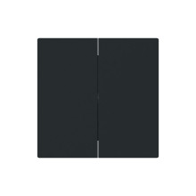 Busch-Jaeger Wippe 2-fach, für Schalter/Taster, zweiteilige Wippe schwarz matt - 2CKA001751A3388 1785-45M