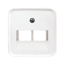 Busch-Jaeger Zentralscheibe 2-fach Reflex SI/SI Linear 2CKA001753A8402 1803-02-214