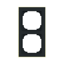 Busch-Jaeger Rahmen 2-fach mit Dekorring Busch-art linear 2CKA001754A4909 1722-453M