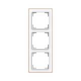 Busch-Jaeger Rahmen 3-fach mit Dekorring Busch-art linear 2CKA001754A4914 1723-441M