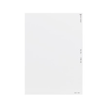 Busch-Jaeger DIN A4-Beschriftungsbogen Kunststofffolie 2CKA001799A0960 1799/03