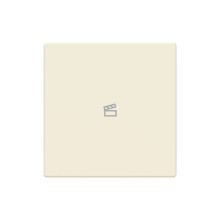 Busch-Jaeger Abdeckung als Taster 1-fach mit Symbol Szene Format 63 - solo/future 2CKA006199A0091 LFST/A.1.63.11-82