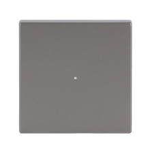 Busch-Jaeger Wippe 1-fach, ohne Bedruckung 2CKA006220A0413 6230-10-866