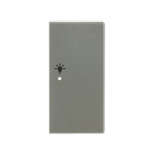 Busch-Jaeger Wippe 2-fach rechts, mit Symbol Licht 2CKA006220A0424 6231-22-866