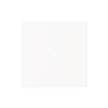 Busch-Jaeger Wippe 1-fach, ohne Bedruckung studioweiß matt - Busch-art linear 2CKA006220A0925 6230-10-44M