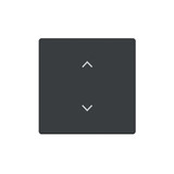Busch-Jaeger Wippe 1-fach, mit Symbol Jalousie Format 63 2CKA006220A0985 6735-11-81
