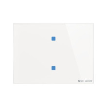 Busch-Jaeger Touch-Bedienelement, 2-fach Konfigurierbares Gerät 2CKA006300A1615 TB/U2.8.11-CG