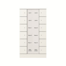 Busch-Jaeger Bedienelement 12-fach Busch-Tenton 2CKA006330A0075 SB/U12.0.11-884
