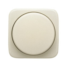 Busch-Jaeger Zentralscheibe mit Drehknopf, Bef.-Mutter und Glimmlampe 2CKA006599A1334 2115-212