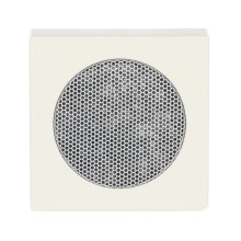 Busch-Jaeger Zentralscheibe 2CKA008200A0079 8253-82