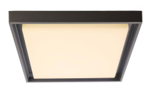 Deko-Light Deckenaufbauleuchte Arneb, Warmweiß, Graphitgrau, IP54 348070
