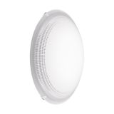 Eglo 95672 Magitta 1 LED Wandleuchte 8,2W Glas Punkte-Muster