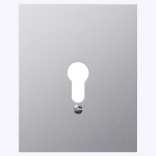 Gira 009830 MetallAbdeckung o.Symbole WG AP Aluminium