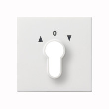 Gira 0664112 Abdeckung Schlüsselschalter/-taster Flächenschalter Reinweiß