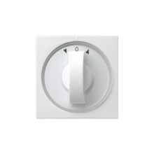 Gira 066603 Abdeckung Knebel Zeitschalter + Jalousie System 55 Reinweiß