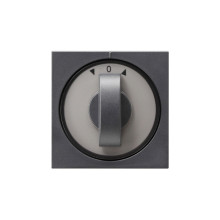 Gira 066628 Abdeckung Knebel Zeitschalter + Jalousie System 55 Anthrazit