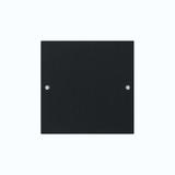 Gira 2181005 Wippenset 1-fach System 55 Schwarz m(lack.)