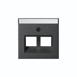 Gira 264028 Abdeckung 30° + Beschriftungsfeld für Tragring Modular-Jack 2-fach System 55 Anthrazit