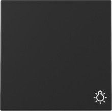 Gira 3285005 Wippe Symbol Licht System 55 Schwarz m
