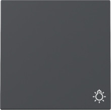 Gira 328528 Wippe Symbol Licht System 55 Anthrazit