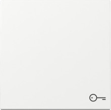 Gira 328703 Wippe Symbol Tür System 55 Reinweiß