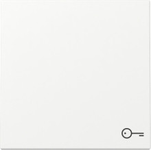Gira 328727 Wippe Symbol Tür System 55 Reinweiß m