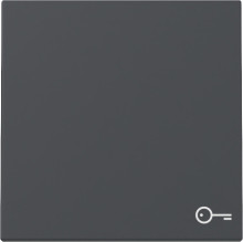 Gira 328728 Wippe Symbol Tür System 55 Anthrazit