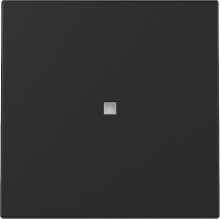 Gira 3290005 Wippe Kontrollfür System 55 Schwarz m