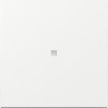 Gira 329003 Wippe Kontrollfür System 55 Reinweiß