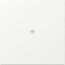 Gira 329027 Wippe Kontrollfür System 55 Reinweiß m