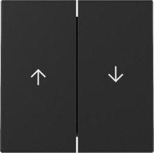 Gira 3294005 Wippe 2-fach Pfeil System 55 Schwarz m
