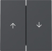 Gira 329428 Wippe 2-fach Pfeil System 55 Anthrazit
