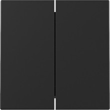 Gira 3295005 Wippe 2-fach System 55 Schwarz m