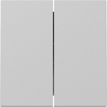 Gira 3295015 Wippe 2-fach System 55 Grau m