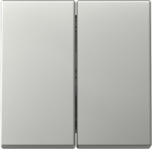 Gira 3295600 Wippe 2-fach System 55 Edelstahl